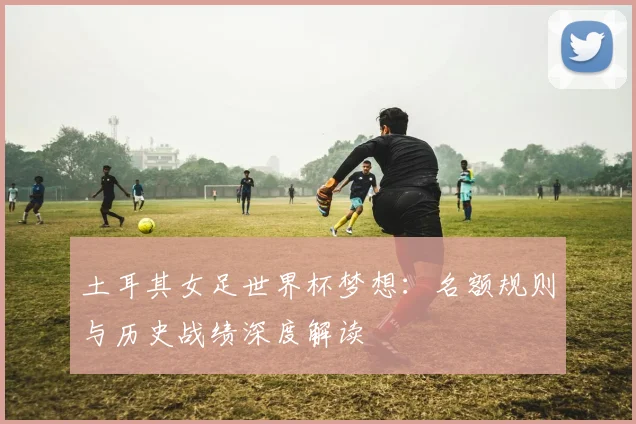 土耳其女足世界杯梦想:名额规则与历史战绩深度解读