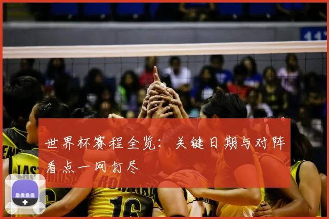 世界杯赛程全览：关键日期与对阵看点一网打尽